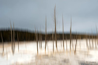 Montana / Wyoming