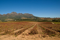 South Africa - Landscapes