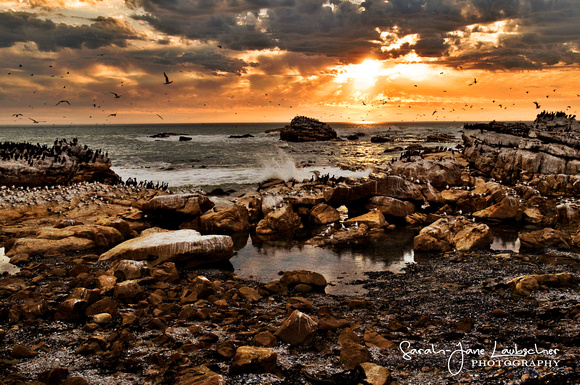 Lamberts Bay 2